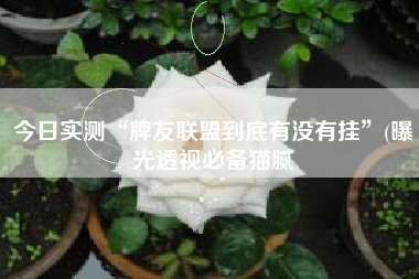 今日实测“牌友联盟到底有没有挂”(曝光透视必备猫腻