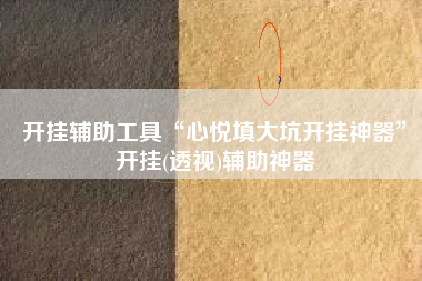 开挂辅助工具“心悦填大坑开挂神器”开挂(透视)辅助神器