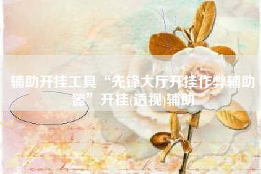 辅助开挂工具“先锋大厅开挂作弊辅助器”开挂(透视)辅助