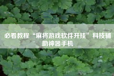 必看教程“麻将游戏软件开挂”科技辅助神器手机