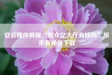 安装程序教程“新众亿大厅有挂吗”原来有神器下载