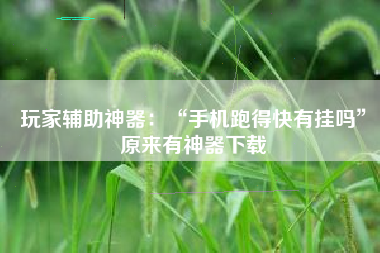 玩家辅助神器：“手机跑得快有挂吗	”原来有神器下载