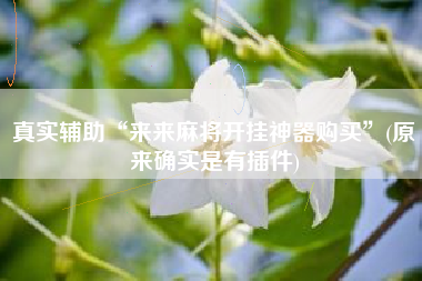 真实辅助“来来麻将开挂神器购买	”(原来确实是有插件)