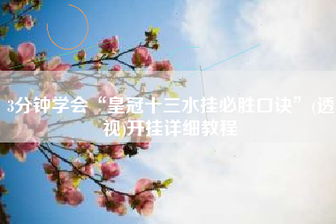 3分钟学会“皇冠十三水挂必胜口诀”(透视)开挂详细教程