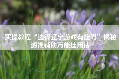 实操教程“边锋辽宁游戏有挂吗”揭秘透视辅助万能挂用法