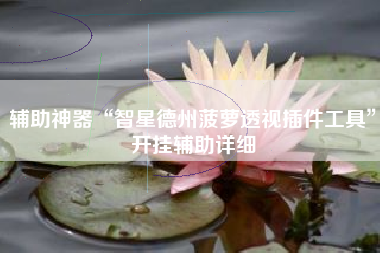 辅助神器“智星德州菠萝透视插件工具”开挂辅助详细