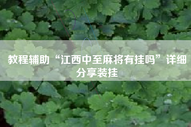教程辅助“江西中至麻将有挂吗”详细分享装挂