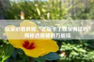 玩家必看教程“正版卡丁娱乐有挂吗”揭秘透视辅助万能挂