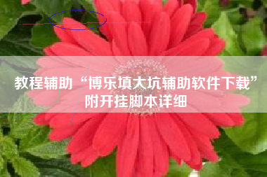 教程辅助“博乐填大坑辅助软件下载”附开挂脚本详细