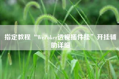 指定教程“WePoker透视插件挂”开挂辅助详细