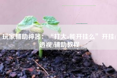 玩家辅助神器：“打大a能开挂么”开挂(透视)辅助教程