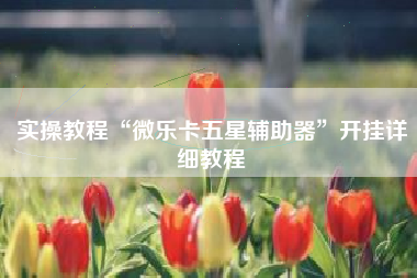 实操教程“微乐卡五星辅助器	”开挂详细教程