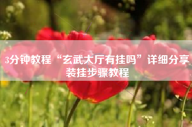 3分钟教程“玄武大厅有挂吗	”详细分享装挂步骤教程