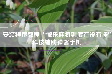 安装程序教程“微乐麻将到底有没有挂”科技辅助神器手机
