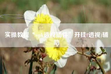 实操教程“wpk透视插件	”开挂(透视)辅助