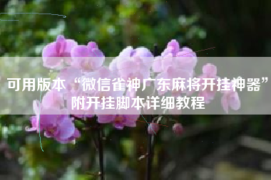 可用版本“微信雀神广东麻将开挂神器”附开挂脚本详细教程