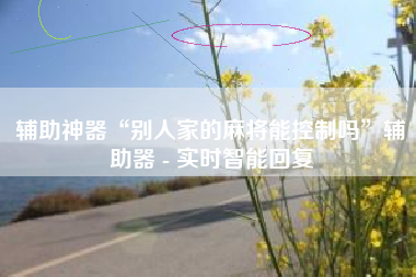 辅助神器“别人家的麻将能控制吗”辅助器 - 实时智能回复