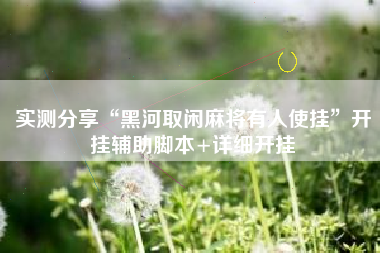 实测分享“黑河取闲麻将有人使挂”开挂辅助脚本+详细开挂