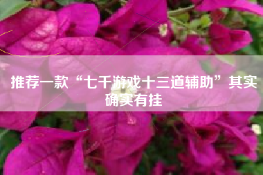 推荐一款“七千游戏十三道辅助”其实确实有挂