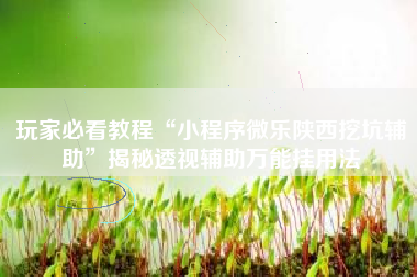 玩家必看教程“小程序微乐陕西挖坑辅助”揭秘透视辅助万能挂用法