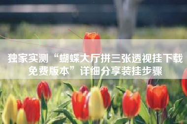 独家实测“蝴蝶大厅拼三张透视挂下载免费版本	”详细分享装挂步骤