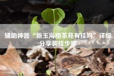 辅助神器“新玉海楼茶苑有挂吗	”详细分享装挂步骤