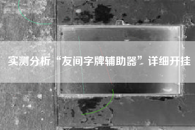 实测分析“友间字牌辅助器	”详细开挂
