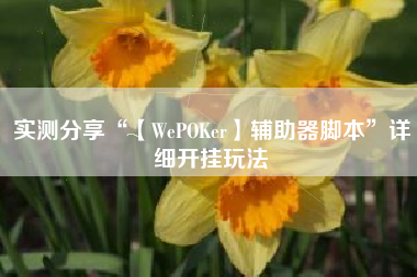 实测分享“【WePOKer】辅助器脚本	”详细开挂玩法