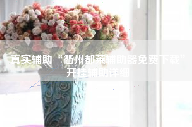 真实辅助“衢州都莱辅助器免费下载	”开挂辅助详细