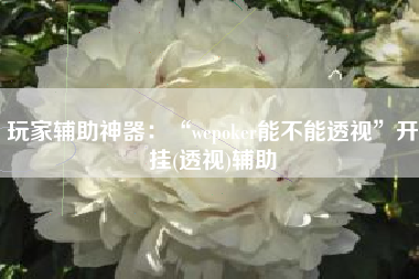 玩家辅助神器：“wepoker能不能透视	”开挂(透视)辅助