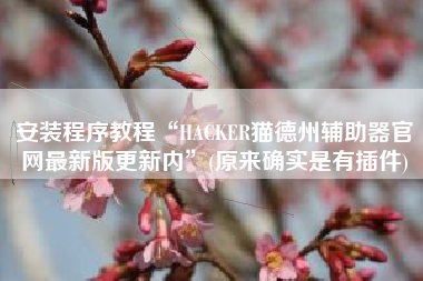 安装程序教程“HACKER猫德州辅助器官网最新版更新内”(原来确实是有插件)