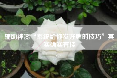 辅助神器“系统给你发好牌的技巧	”其实确实有挂