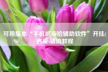 可用版本“手机贰柒拾辅助软件”开挂(透视)辅助教程