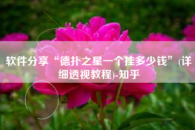 软件分享“德扑之星一个挂多少钱	”(详细透视教程)-知乎