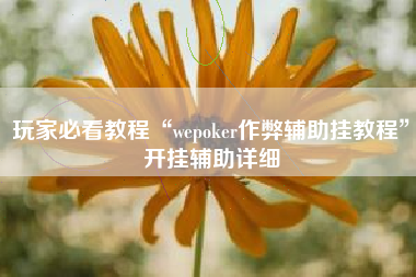玩家必看教程“wepoker作弊辅助挂教程”开挂辅助详细