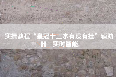 实操教程“皇冠十三水有没有挂”辅助器 - 实时智能