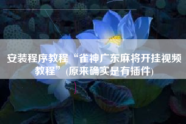 安装程序教程“雀神广东麻将开挂视频教程	”(原来确实是有插件)