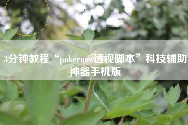 3分钟教程“pokernow透视脚本”科技辅助神器手机版