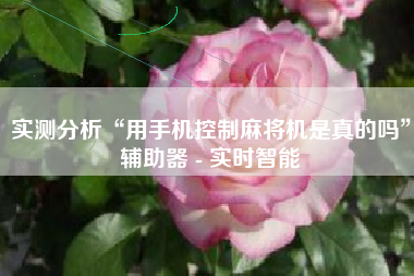 实测分析“用手机控制麻将机是真的吗	”辅助器 - 实时智能