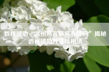 教程辅助“温州熟客麻将有挂吗”揭秘透视辅助万能挂用法