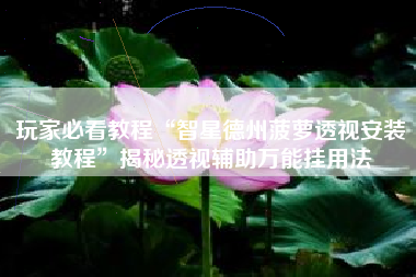 玩家必看教程“智星德州菠萝透视安装教程”揭秘透视辅助万能挂用法