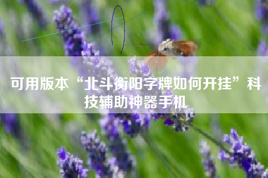 可用版本“北斗衡阳字牌如何开挂”科技辅助神器手机