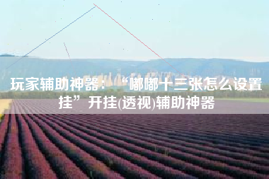 玩家辅助神器：“嘟嘟十三张怎么设置挂	”开挂(透视)辅助神器