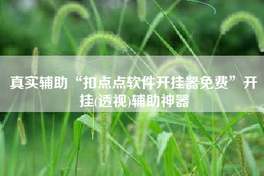 真实辅助“扣点点软件开挂器免费	”开挂(透视)辅助神器