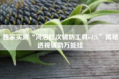 独家实测“河洛杠次辅助工具ed2k”揭秘透视辅助万能挂