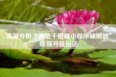 实测分析“微信干瞪眼小程序辅助器”详细开挂玩法