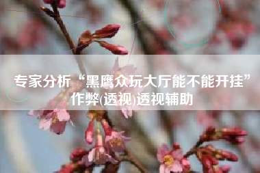 专家分析“黑鹰众玩大厅能不能开挂”作弊(透视)透视辅助