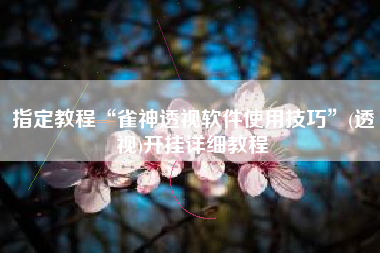 指定教程“雀神透视软件使用技巧”(透视)开挂详细教程