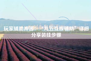 玩家辅助神器：“九五互娱辅助”详细分享装挂步骤