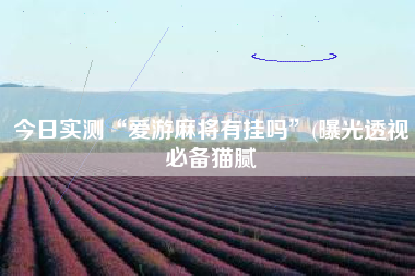 今日实测“爱游麻将有挂吗”(曝光透视必备猫腻